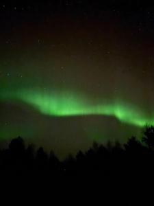 Villa Oitola I Parking I Sauna I Wifi I Lake I Rural I Forest I Ideal for Aurora spotting