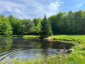 Capsule de Bonheur - Farnham