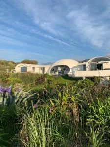 Iconic & Curvaceous Beach House - Te Horo