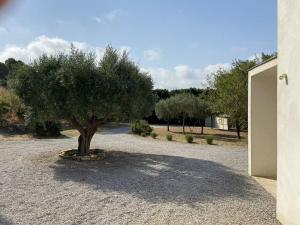 Villas Magnifique villa dans le massif de la Clape : photos des chambres