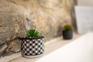 il canto della sirenetta