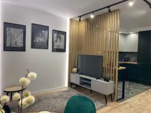 Apartament Zielony - Żdanówek