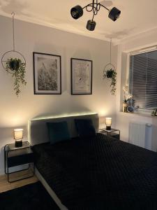 Apartament Zielony