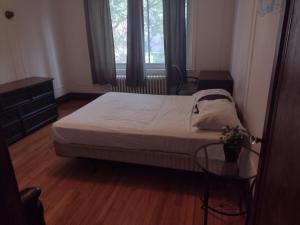 Antic Style with high ceiling