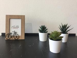 Appartements Le Petit Debrousse, Confort calme et Parking : photos des chambres