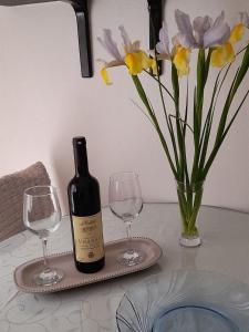 Apartmani Markovic jednosoban