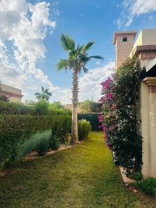 Villa 228 Dyar Shemsi