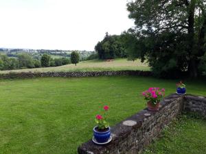 Maisons de vacances Gite du Bosquet Pays de Salers Cantal : photos des chambres