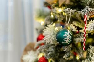 Zlatibor Apartmani Kum