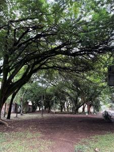 Apto en zona tranquila cerca a zonas rosas