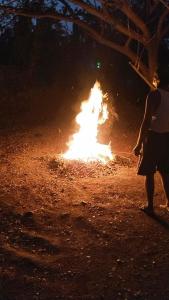 Sweet Villa to experience nature