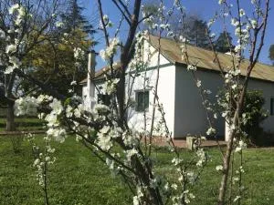 Finca Santo Pietro - Altamira