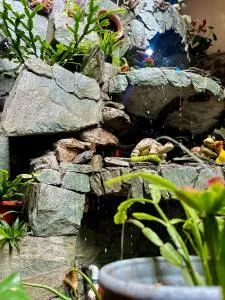 Suite independiente con cocina equipada - Culqui