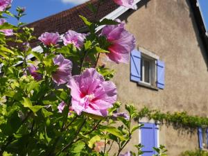 Chambres table dhôte avec jardin à la campagne le nid qui danse vers Vesoul jusquà 11 personnes