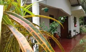 Winstar Homestay - Bakamuneulpota