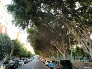 Beis House - Dragonal