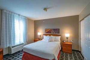 Queen Studio with Sofa Bed room in TownePlace Suites Cleveland Streetsboro