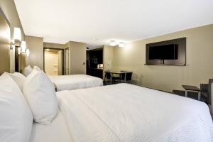 Deluxe Queen Studio  room in TownePlace Suites by Marriott Dover Rockaway