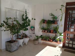 Cantinho Aconchegante 305 Praia Tambaú