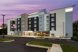 TownePlace Suites by Marriott Fort Mill at Carowinds Blvd - 岩石丘
