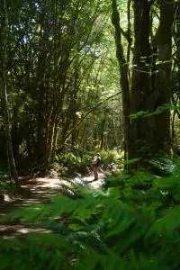 Starlight Olympic Glamping - Ovington