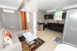 Roseau Canefield Apartment with Full Kitchen Air Conditioning and Wi-Fi Close to town - Canefield