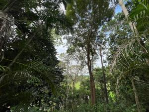 Jungle Pearl Villa, Weligama