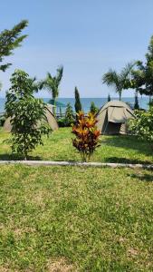 Arch-Villa Resort&Camping Site Mfangano Island