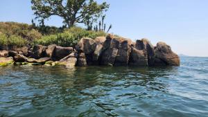 Arch-Villa Resort&Camping Site Mfangano Island