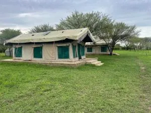 AMENITY TOURs & CAMPING - SERENGETI - Lukungu