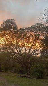 Chalet de los ciervos