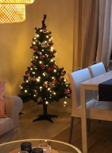 Kemi city center 2 room and kitchen FREE PRIVATE PARKING