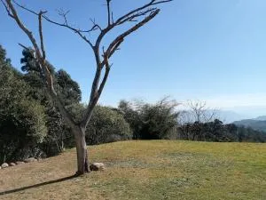 Ivy on Main Valley of 1000 hills - Bothaʼs Hill