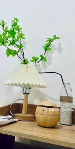 IVY HOMESTAY - District 1 HCM