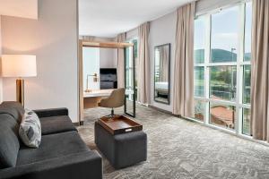 King Suite with Sofa Bed and View room in SpringHill Suites by Marriott Roanoke