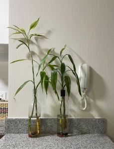 Amplio y Calido Departamento en Ubicación Centrica