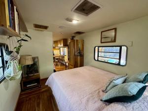 La VanDida, Camper house