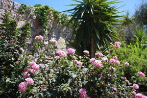 Villages vacances Hotel et Residence Benista : photos des chambres