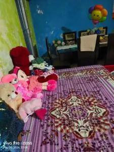 Vimla Prakash Homes - LKO