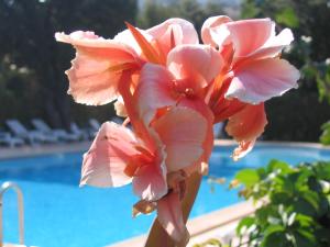 Villages vacances Hotel et Residence Benista : photos des chambres