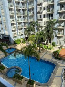 One Palm Tree by Melba STUDIO TYPE