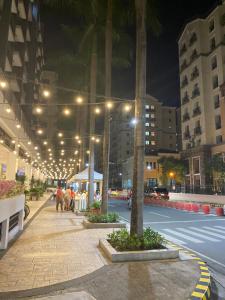 One Palm Tree by Melba STUDIO TYPE