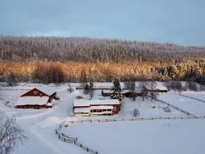 Paimentupa - 科林基拉