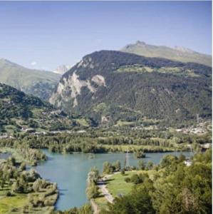 Appartements Appartement Bourg Saint Maurice Proche funiculaire - 2 etoiles 4 cristaux paradiski : photos des chambres