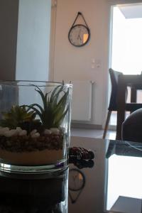 Villas Elegance et Calme pres d-Avignon : photos des chambres