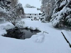 Apartmány na mlýně - Radešín