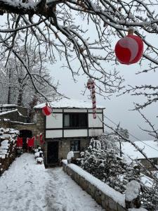 ΤΟ ΑΡΧΟΝΤΙΚΟ