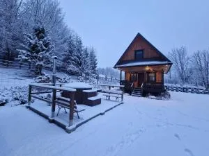 Markowa Chata Bieszczady - Orelec