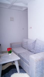 spacious modern studio apartment