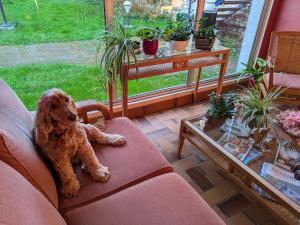 Hotels Hotel Le Bon Laboureur : photos des chambres